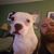 Jamie L Loiko's profile image
