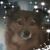 Gretchen Cole's profile image
