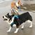 Janet Cannady Bieler's profile image