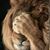 Lois Stockwell's profile image