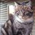 Billy Sisemore's profile image