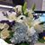 Catherine Spence's profile image