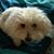 Helena Weston-smith's profile image