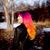 Jami Redman's profile image