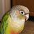 Brian Croshaw's profile image