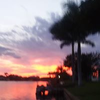 Phyllis Barret's profile image