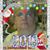 Brenda Profitt's profile image
