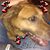 Cheryl Baird Knowles's profile image