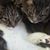 Pam Ratcliffe's profile image