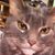 Denise Dunlap's profile image