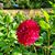 Jeanette Gilles's profile image