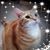 Sandy Quintanilla's profile image