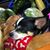 Sarah Mendak's profile image