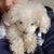 June Vigliotto's profile image