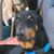 Marianne Douglas's profile image