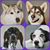 Louise Jones's profile image