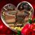 Rastagal Lioness's profile image