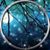 Robin West's profile image