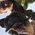 Tim Barker's profile image