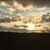 Lonna Harless's profile image