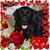 Sandy Devine's profile image