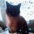 Katy May Test-Boelter's profile image