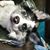Teri Turnmire's profile image
