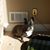 Catherine Jean Vallejo's profile image