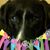 Nancy Eichler's profile image