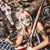 CraZie Mary Burns's profile image