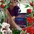 Terry Baxley's profile image