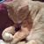 Jennifer Musselman's profile image
