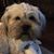 Cindy Tuttle Krych's profile image