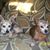Cathy Coakley Casto's profile image