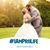 Annie K. Copeland's profile image