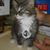 Jo Ann Natale-Varvatsas's profile image
