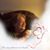 Elyse Herwig's profile image