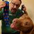 Daniel Sortino's profile image