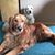 Karen Mudie Slike's profile image