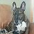 Susan Thomas's profile image