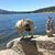 Ann Connor's profile image