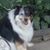 Diane Selsor's profile image