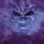 Tj Darcy's profile image