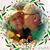 Pam Wehner's profile image