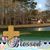 Elizabeth Dalene Falcinelli's profile image