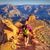 Allison Macsas Steger's profile image