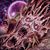 Peter Drexler's profile image