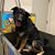 Karen Curnow Hert's profile image