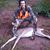 Avery Mitchell Ollis's profile image