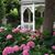 Patricia Howell-Bracken's profile image